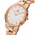 Daniel Wellington DW00100213 Iconic Link Damen