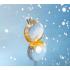 Hermes Eau de Merveilles Eau de Toilette 100ml